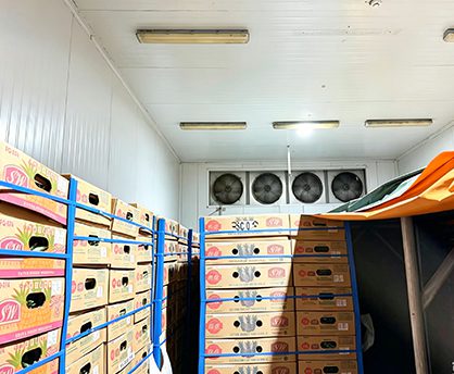 Chiller Room03