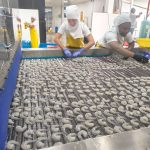 IQF-300kgs (8)