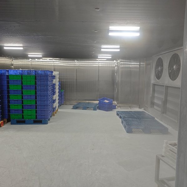 blast freezer room 01