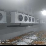 blast freezer room 05