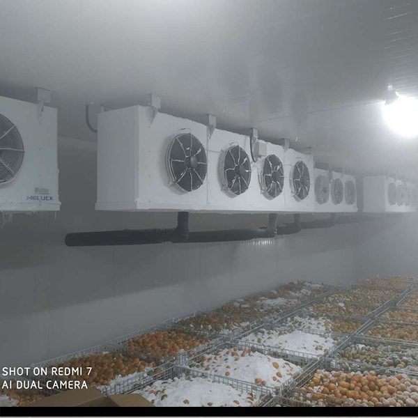 blast freezer room 05