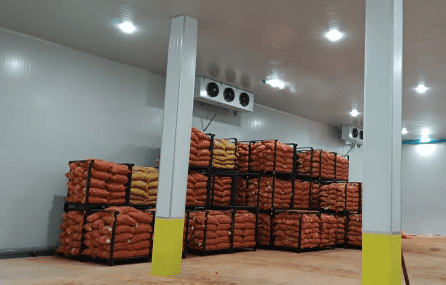 tomatoes Cold Storage Room Myanmar