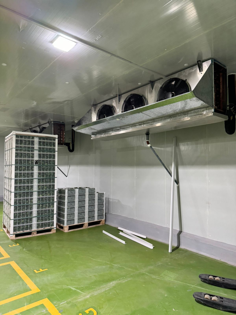 Avocado Cold Storage Room in Peru